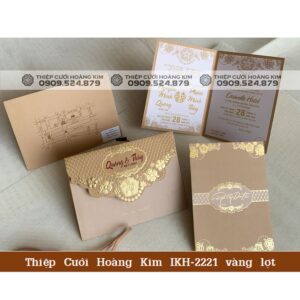 DQ2221VANGLOT watermark compressed