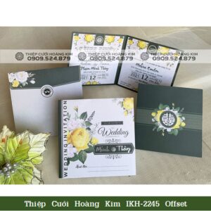 DQ2245OFFSET watermark compressed