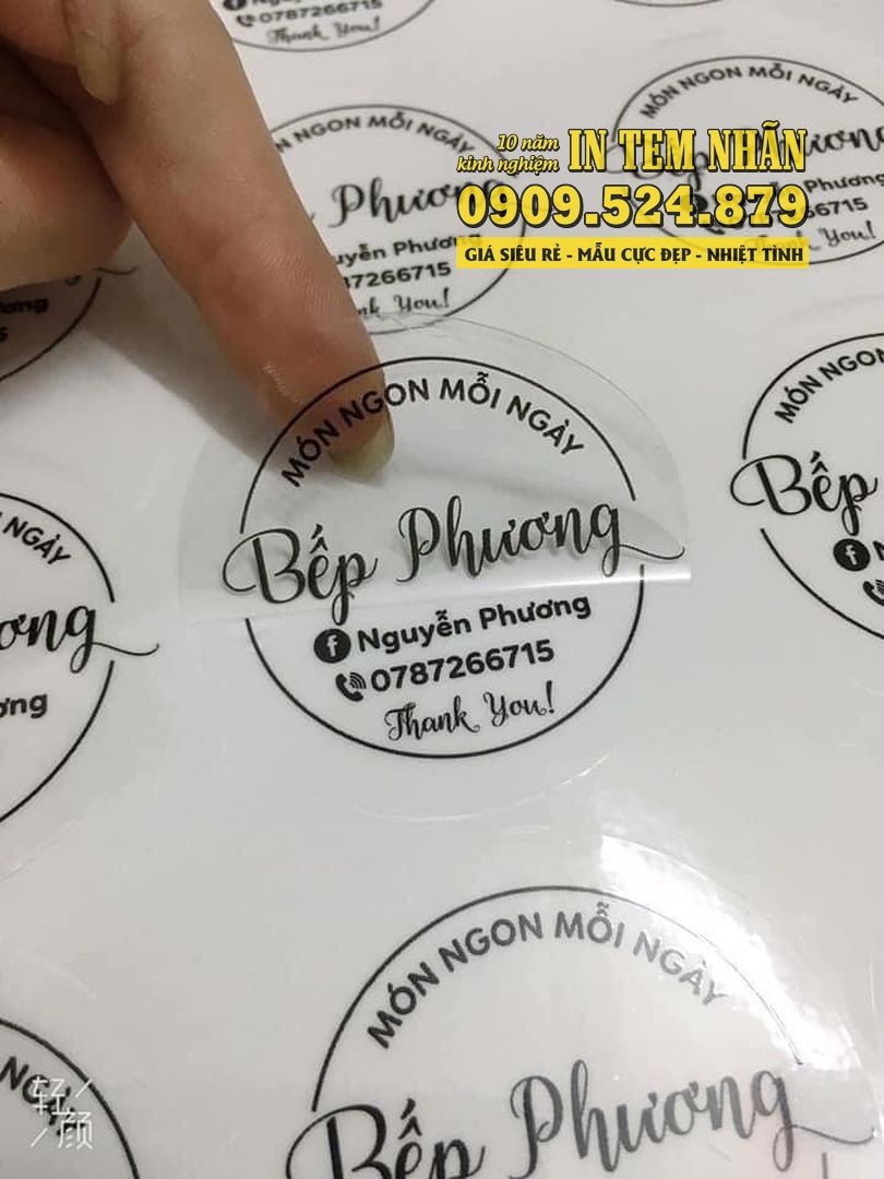 in decal trong 0253 1