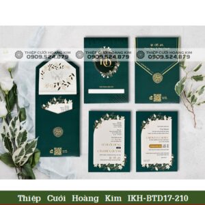 1680925281 DQBTD17210 0031 compressed