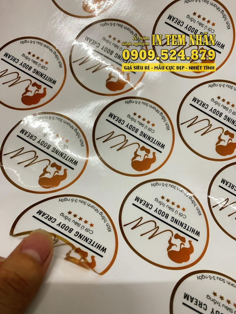 in decal trong 0099