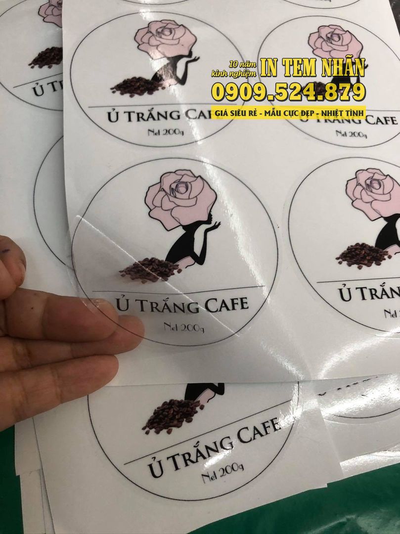 in decal trong 0438
