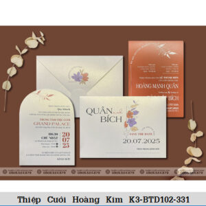 DQ BTN101 331