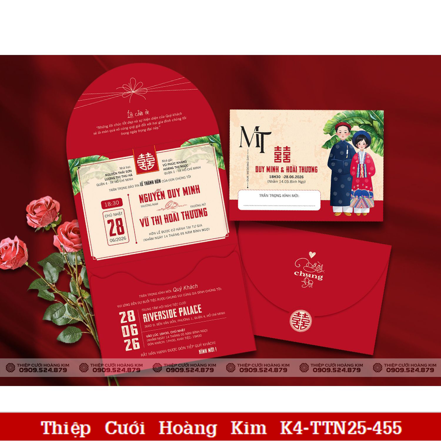 DQ TTN25 455