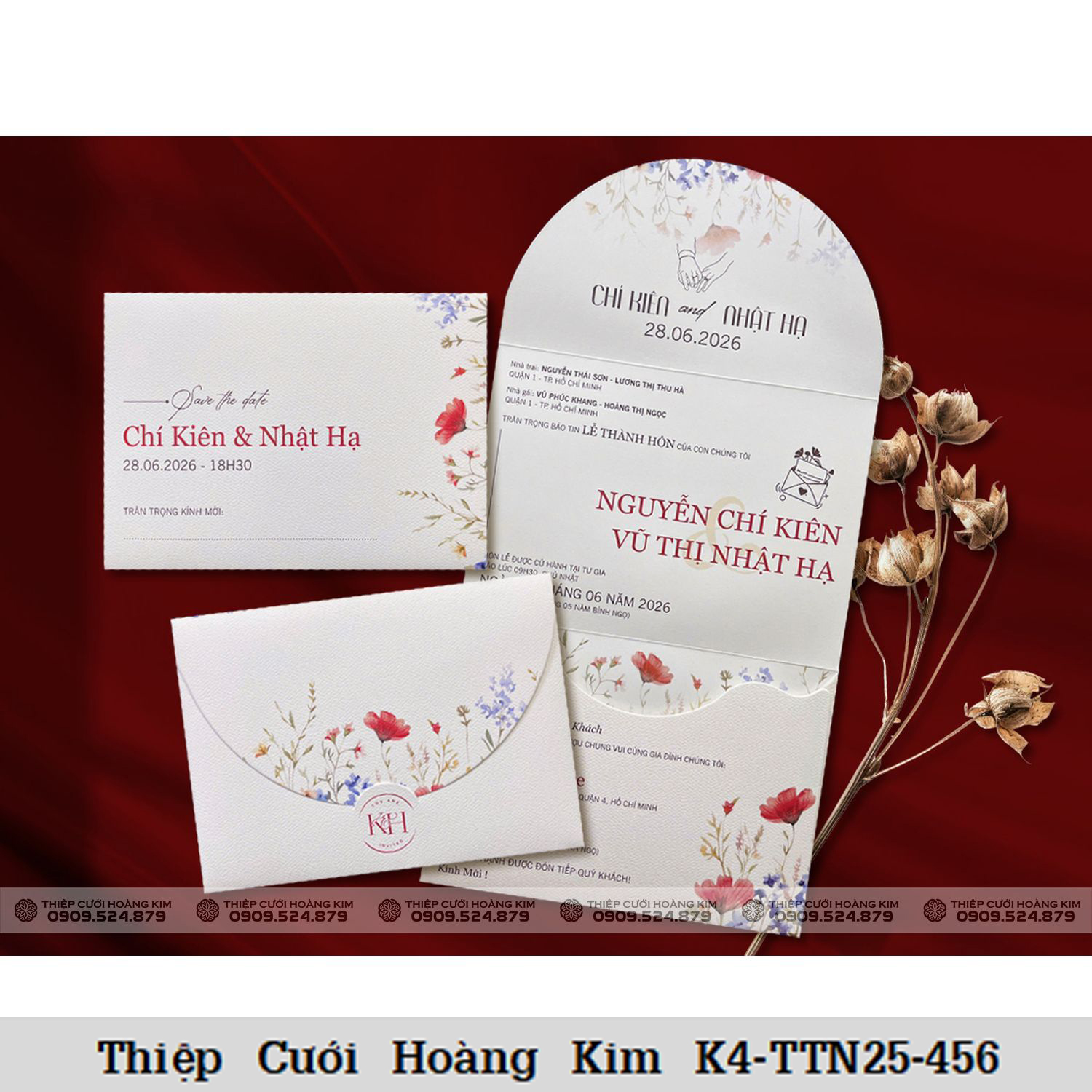DQ TTN25 456