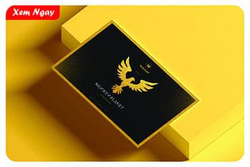 Home 6 10 inhoangkim banner thietkeweb 3 01