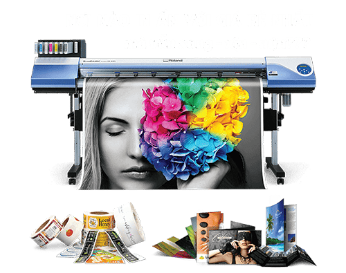 Home 6 4 inhoangkim banner thietkeweb